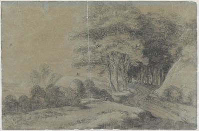 drawing: Landscape. black chalk on blue paper