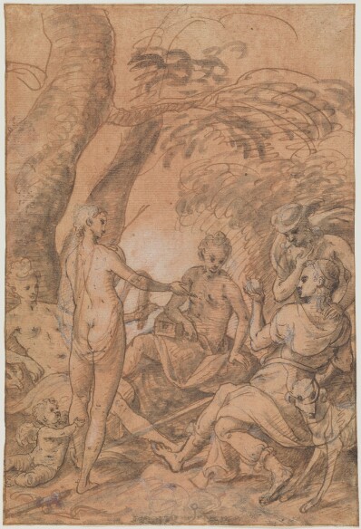 drawing: Judgment of Paris. pen and brown ink, brown wash heightened with white on rose-colored prepared paper